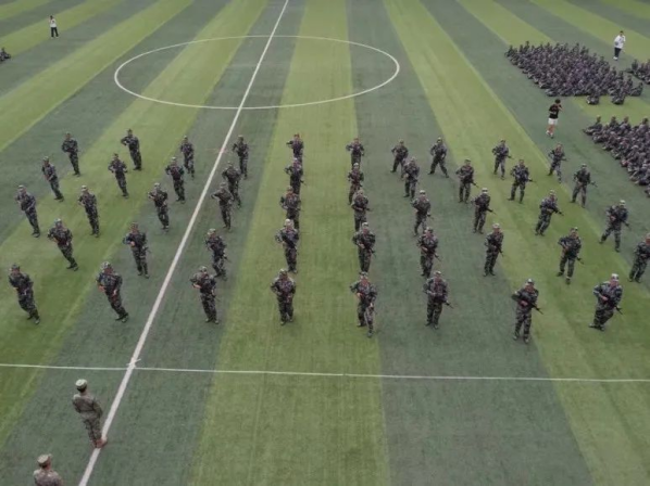 wps17.png wps17.png