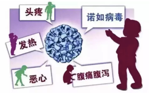微信图片_20241115082327.png 微信图片_20241115082327.png