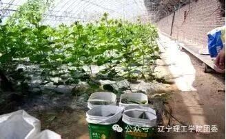 微信图片_2026-09-28_191727_686.jpg